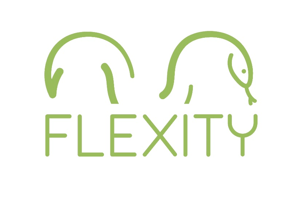 Flexity logo