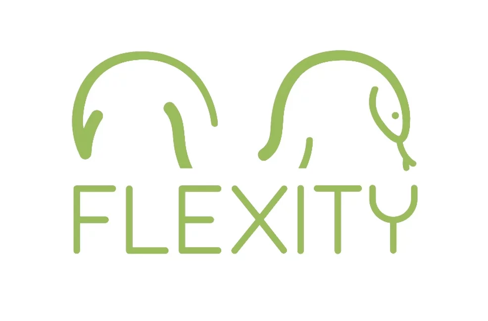 Flexity logo