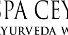 Spaceylon logo