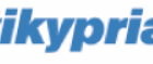 pneumatikypriamo.com logo